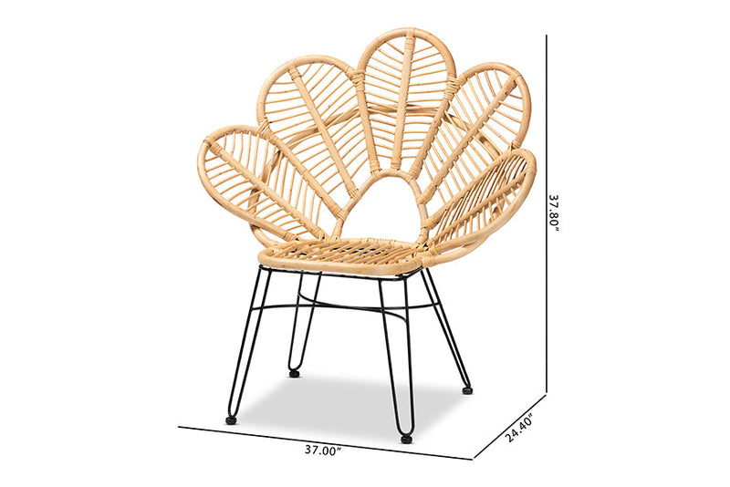 Haina Natural Brown Rattan and Black Metal Accent Chair Baxton