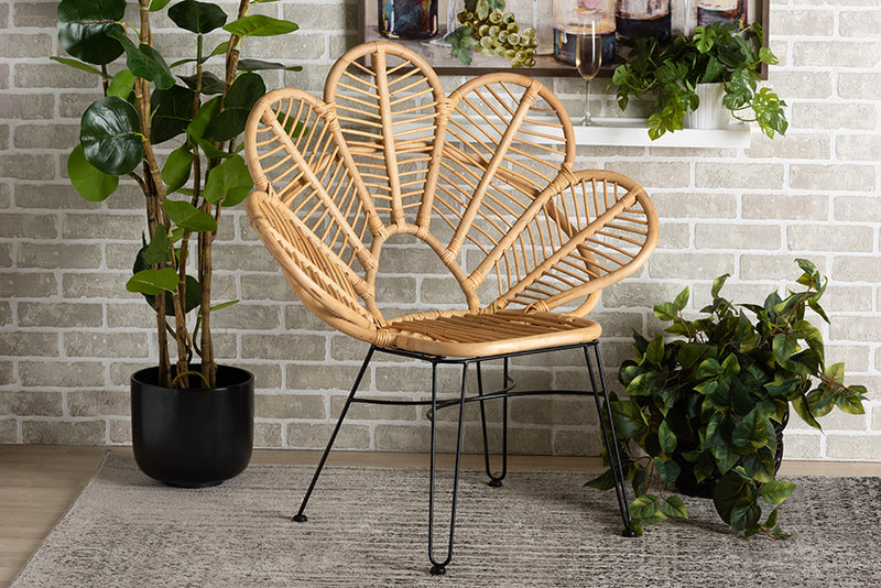 Haina Modern Bohemian Natural Brown Rattan and Black Metal Accent Chair