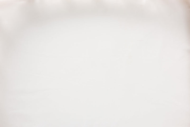 Lenoir Natural Brown Rattan Pet Bed w/Cushion Baxton