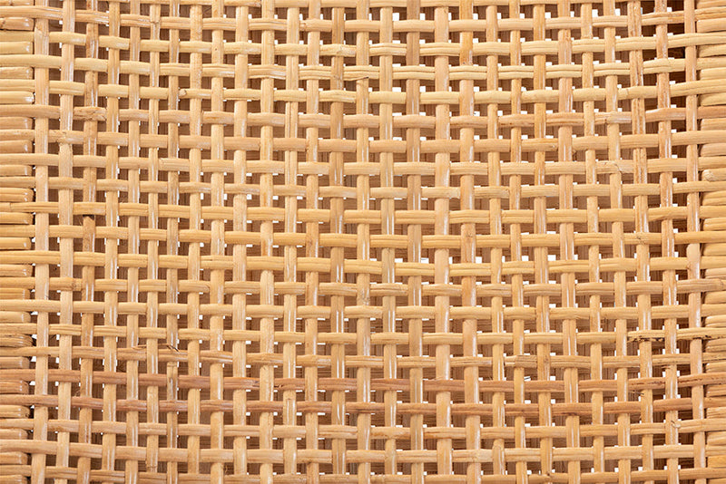 Merci Natural Brown Rattan and Walnut Brown Mahogany Wood Dining Chair Baxton