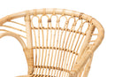 Melia Natural Brown Rattan Dining Chair Baxton
