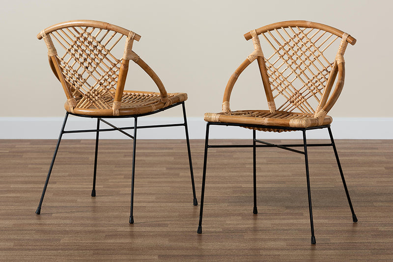 Ruby Modern Bohemian Natural Brown Rattan and Black Metal 2-Piece Dining Chair Set