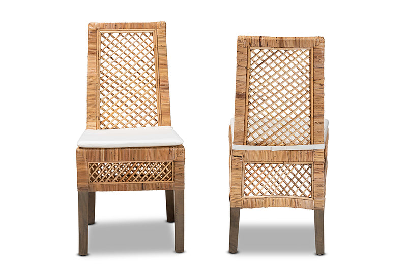 Marit Modern Bohemian  Natural Brown Rattan 2-Piece Dining Chair Set