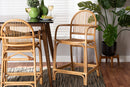 Randolph Natural Brown Rattan Counter Stool Baxton