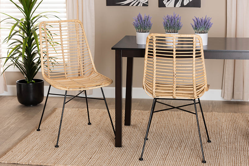 Caelinus Modern Bohemian Natural Brown Rattan and Black Metal 2-Piece Dining Chair Set