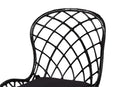Frank Black Finished Rattan and Metal 2Pc Dining Chair Set Baxton