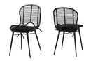 Clement Black Finished Rattan and Metal 2Pc Dining Chair Set Baxton