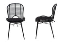 Clement Black Finished Rattan and Metal 2Pc Dining Chair Set Baxton