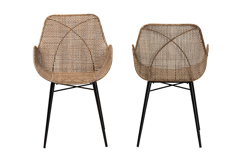 Langley Modern Bohemian Greywashed Rattan and Black Metal 2-Piece Dining Chair Set