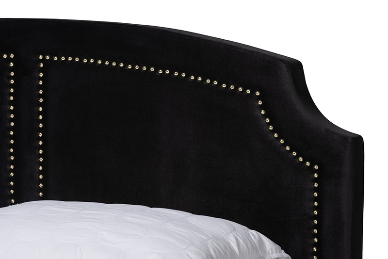 Natasha Traditional Glam and Luxe Black Velvet and Gold Metal Queen Size Panel Bed