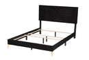 Baara Black Velvet and Gold Metal Queen Size Panel Bed Baxton