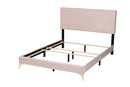 Baara Light Pink Velvet and Gold Metal Queen Size Panel Bed Baxton