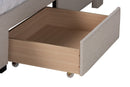 Dennehy Beige Fabric Queen Size 3-Drawer Storage Platform Bed Baxton