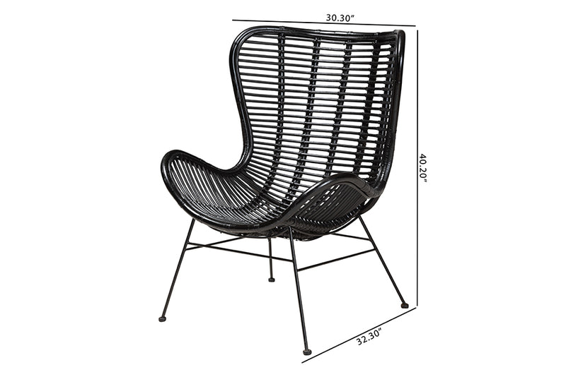 Rovelyn Modern Bohemian Black Rattan and Metal Accent Chair