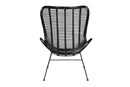 Rovelyn Black Rattan and Metal Accent Chair Baxton
