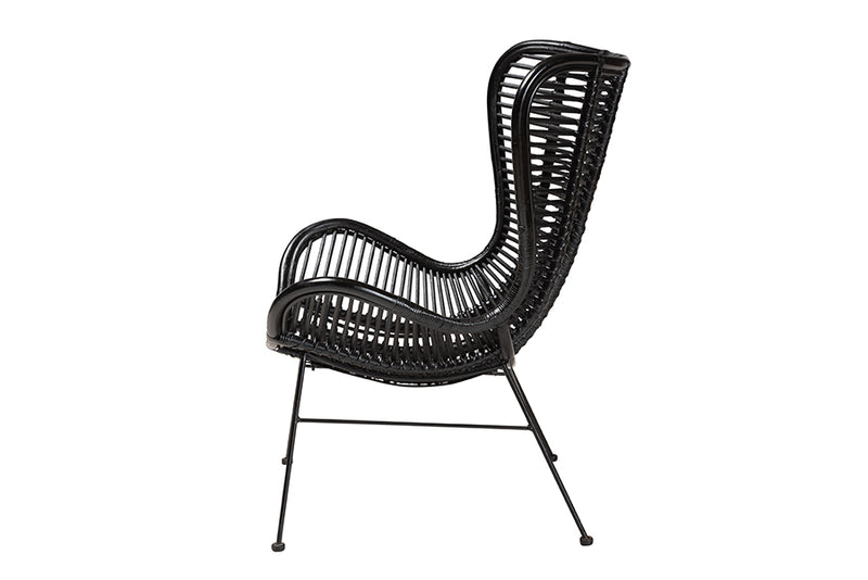 Rovelyn Modern Bohemian Black Rattan and Metal Accent Chair