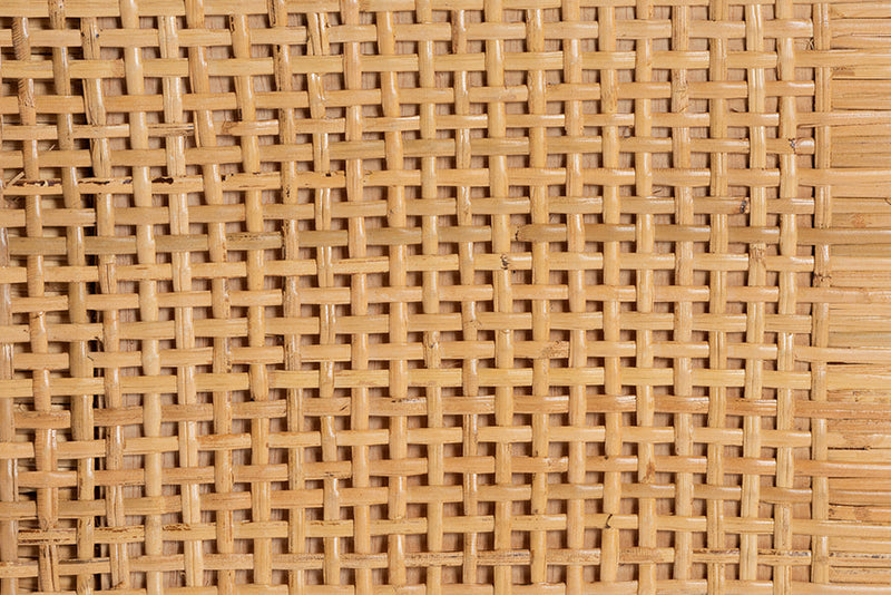 Perry Natural Brown Rattan and Mahogany Wood Storage Cabinet Baxton
