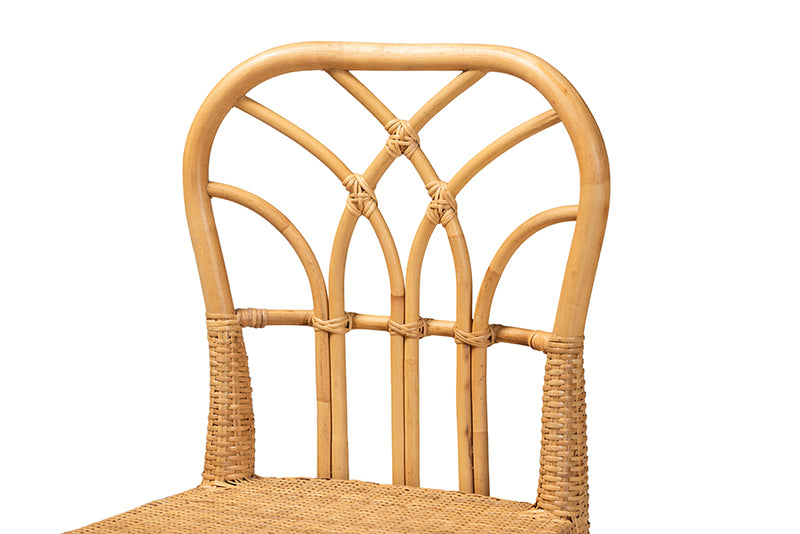 Ravenna Modern Bohemian Natural Rattan and Mahogany Wood Counter Stool