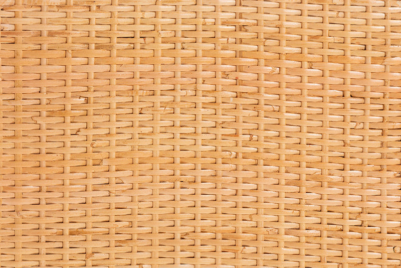 Chevron Natural Brown Rattan and Mahogany Wood Storage Cabinet Baxton