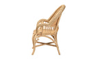 Espresso Natural Brown Rattan Accent Chair Baxton