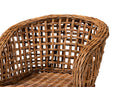 Sadia Natural Brown Finished Teak Wood and Rattan 2Pc Dining Chair Set Baxton