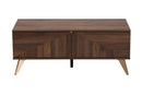 Raisa Walnut Brown 2-Drawer Coffee Table Baxton