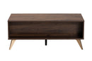 Raisa Walnut Brown 2-Drawer Coffee Table Baxton