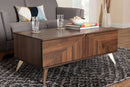 Raisa Walnut Brown 2-Drawer Coffee Table Baxton