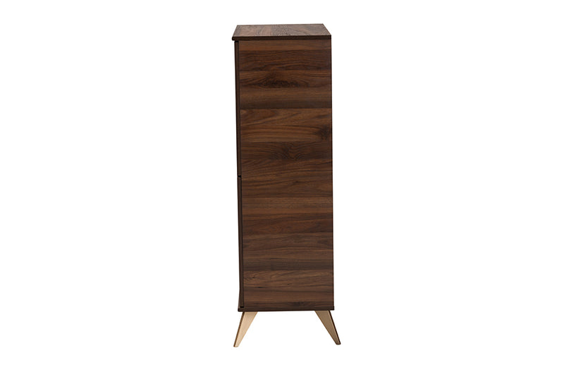 Raisa Mid-Century Walnut Brown Finished Wood Shoe Cabinet