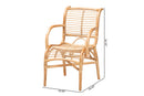 Bardia Natural Rattan Lounge Chair Baxton