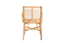 Bardia Natural Rattan Lounge Chair Baxton