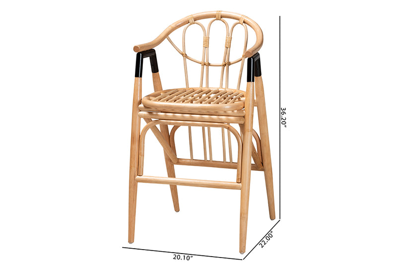 Leland Modern Bohemian Natural Brown Rattan Counter Stool