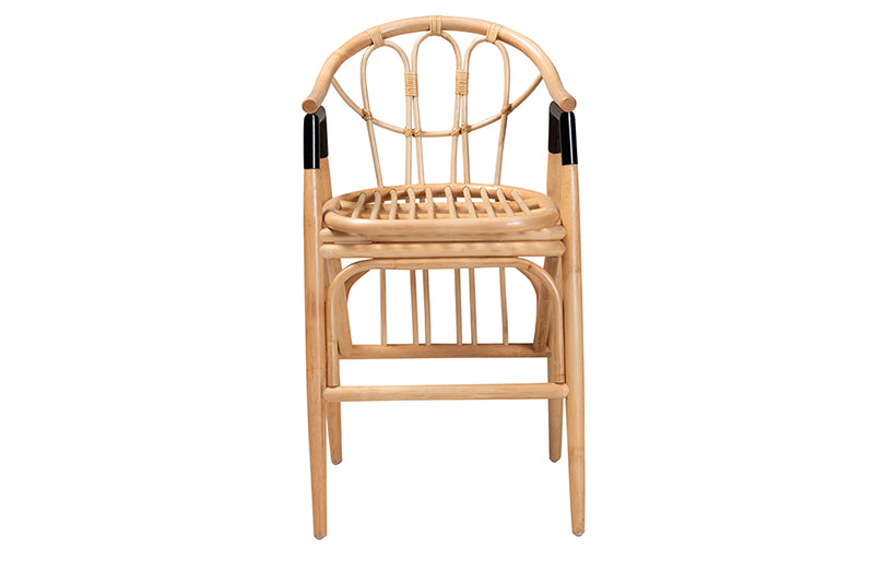 Leland Modern Bohemian Natural Brown Rattan Counter Stool