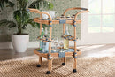 Amelia and pari Chasca Blue and White Weaving and Natural Rattan Wine Cart Baxton