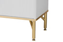 Renaud White Wood and Gold Metal 2-Door Shoe Cabinet Baxton