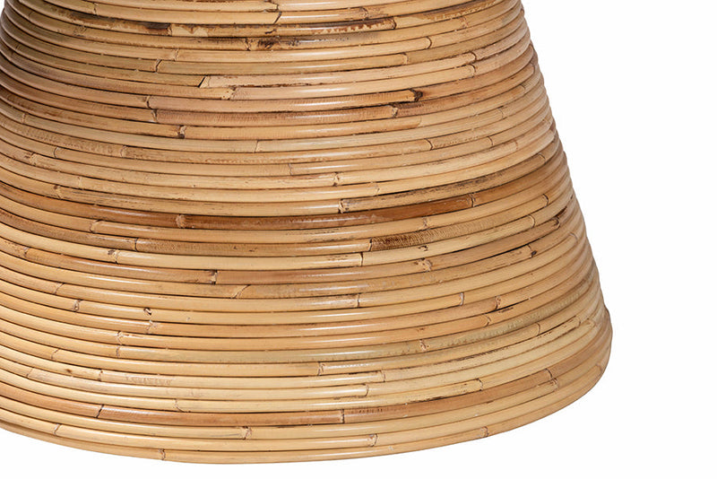 Saverio Natural Rattan and Mahogany Wood Coffee Table Baxton