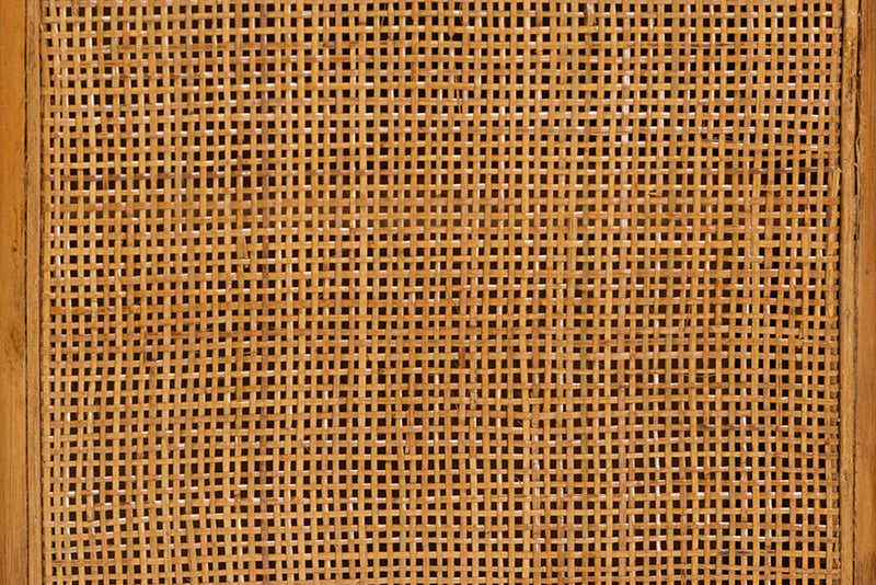 Skylar Light Honey Rattan Large Storage Cabinet Baxton
