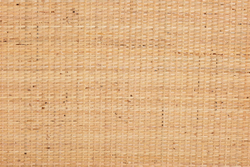 Devlin Natural Rattan End Table Baxton