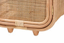 Cielo Bohemian Natural Rattan and Mahogany Wood Nightstand Baxton
