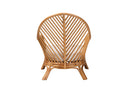 Lavina Bohemian Light Honey Rattan Arm Chair Baxton