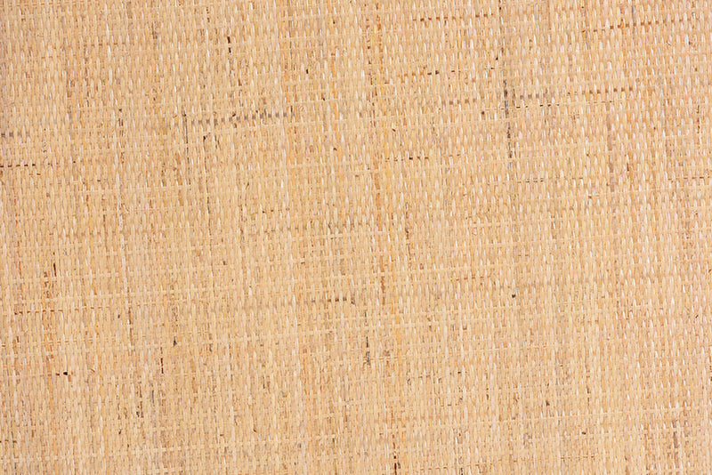 Giolla Bohemian Light Honey Rattan and Mahogany Wood Coffee Table Baxton