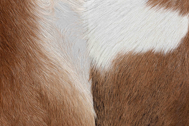 Raniya Genuine Goat Leather Footstool Baxton