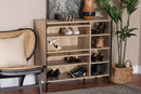 Serra Oak Brown Wood Shoe Cabinet w/Flipper Doors Baxton