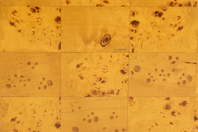 Gisela Natural Real Burl Wood End Table Baxton