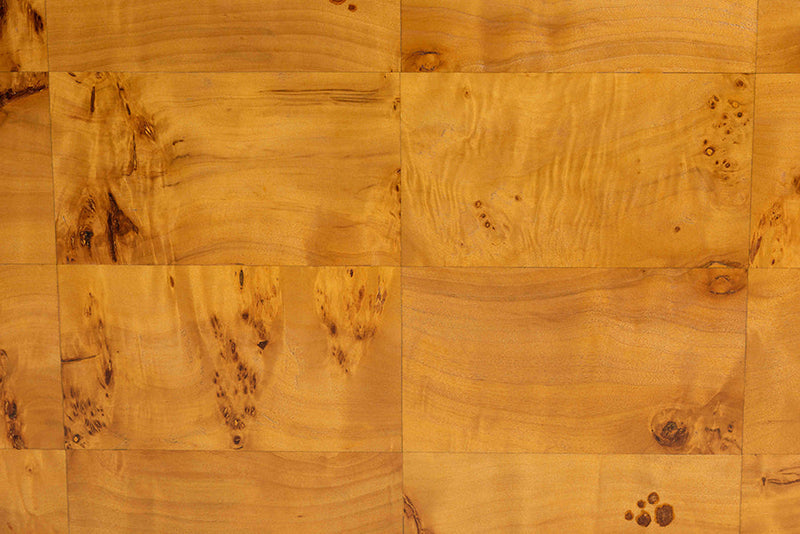 Gisela Natural Real Burl Wood Coffee Table Baxton