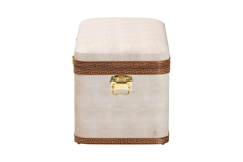 Benjamin Modern Transitional Beige Faux Shagreen Storage Trunk