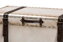 Eira Weathered White Canvas Storage Trunk Baxton