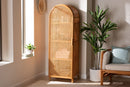 Skylar Natural Rattan Decorative Cabinet Baxton