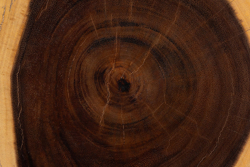 Eliada Hand-carved Suar Wood Side Table Baxton