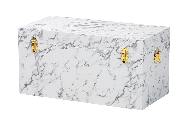 Biana Storage Trunk with Lift-Top Lid Baxton